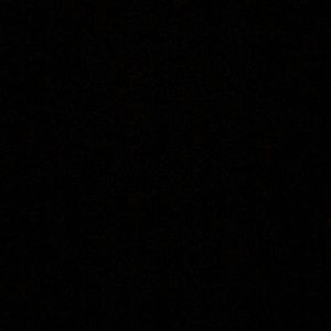 Meet your Posher, Delanie